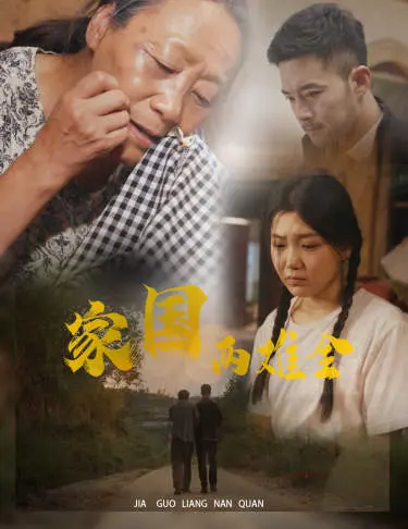 《家国两难全》：当个人命运与时代洪流碰撞，看小人物如何抉择！